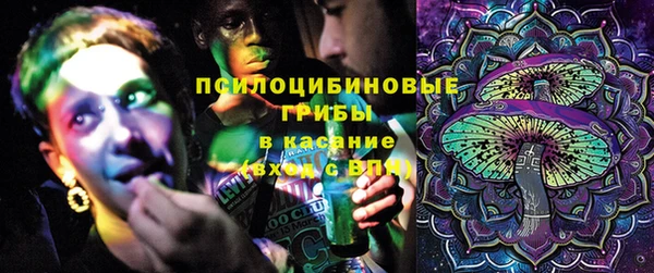 jwh Белокуриха