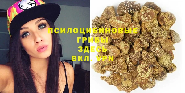 jwh Белокуриха