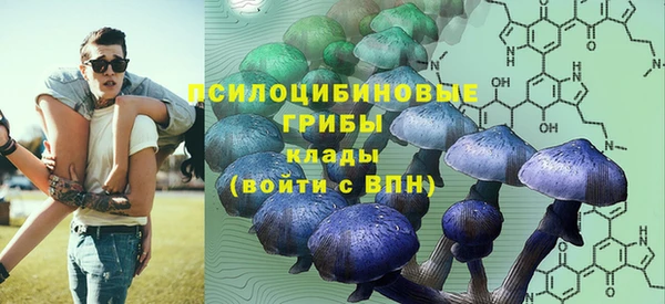 jwh Белокуриха
