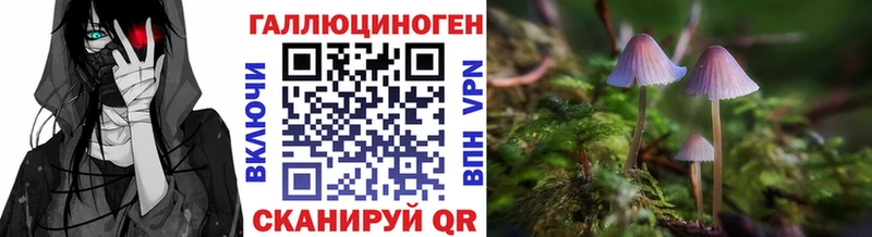 Галлюциногенные грибы Cubensis  Бузулук 